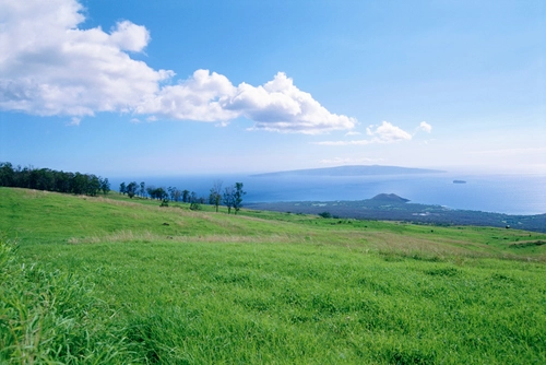 Upcountry Maui sites to close in April