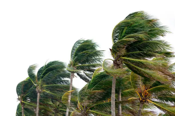 Hurricane Season: Are you Insured?