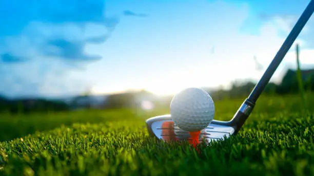 Na Hale O Maui Golf Fundraiser