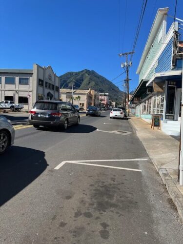 Maui County Parking Program