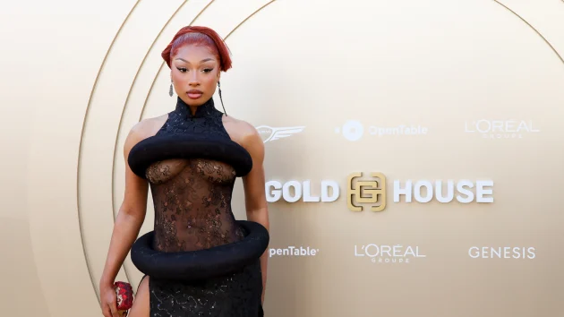 Megan Thee Stallion and NBA star Klay Thompson are dating: Source