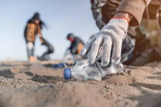 Maui Beach Clean Up