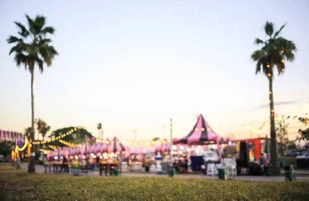 Maui County Fair Returns