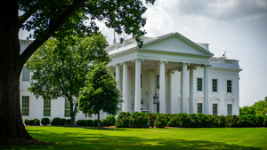 Attorneys general file amicus brief supporting DEI policies