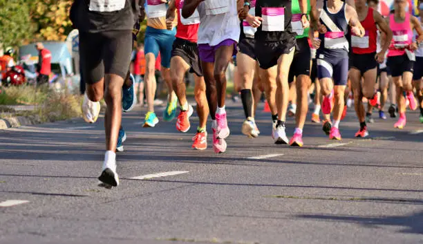 Maui Ocean Center 5K