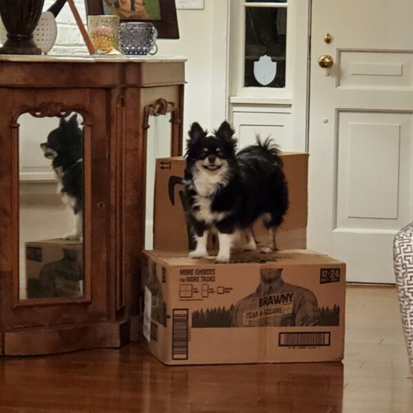 AFTER THE SHOW PODCAST: AI Issues.