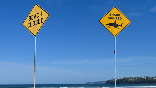 Shark attack in Australia leaves 1 dead, 1 injured