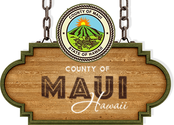 Maui Nui Business Health Check