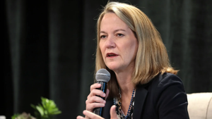 Arizona, others back birthright citizenship in amicus brief