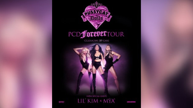 ‘Don’t Cha’ wish The Pussycat Dolls would reunite for a tour? Well, they have