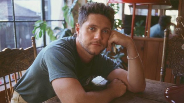 Niall Horan says he feels ‘a sense of pride’ watching what his fellow One Direction bandmates are doing