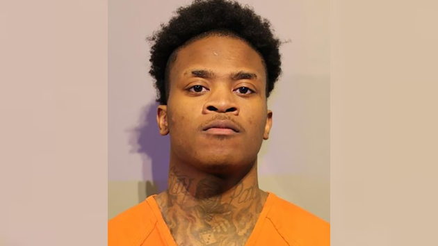 Man at large after allegedly killing woman 8 months pregnant with his baby: Police