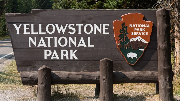 2 hikers injured in bear attack at Yellowstone National Park