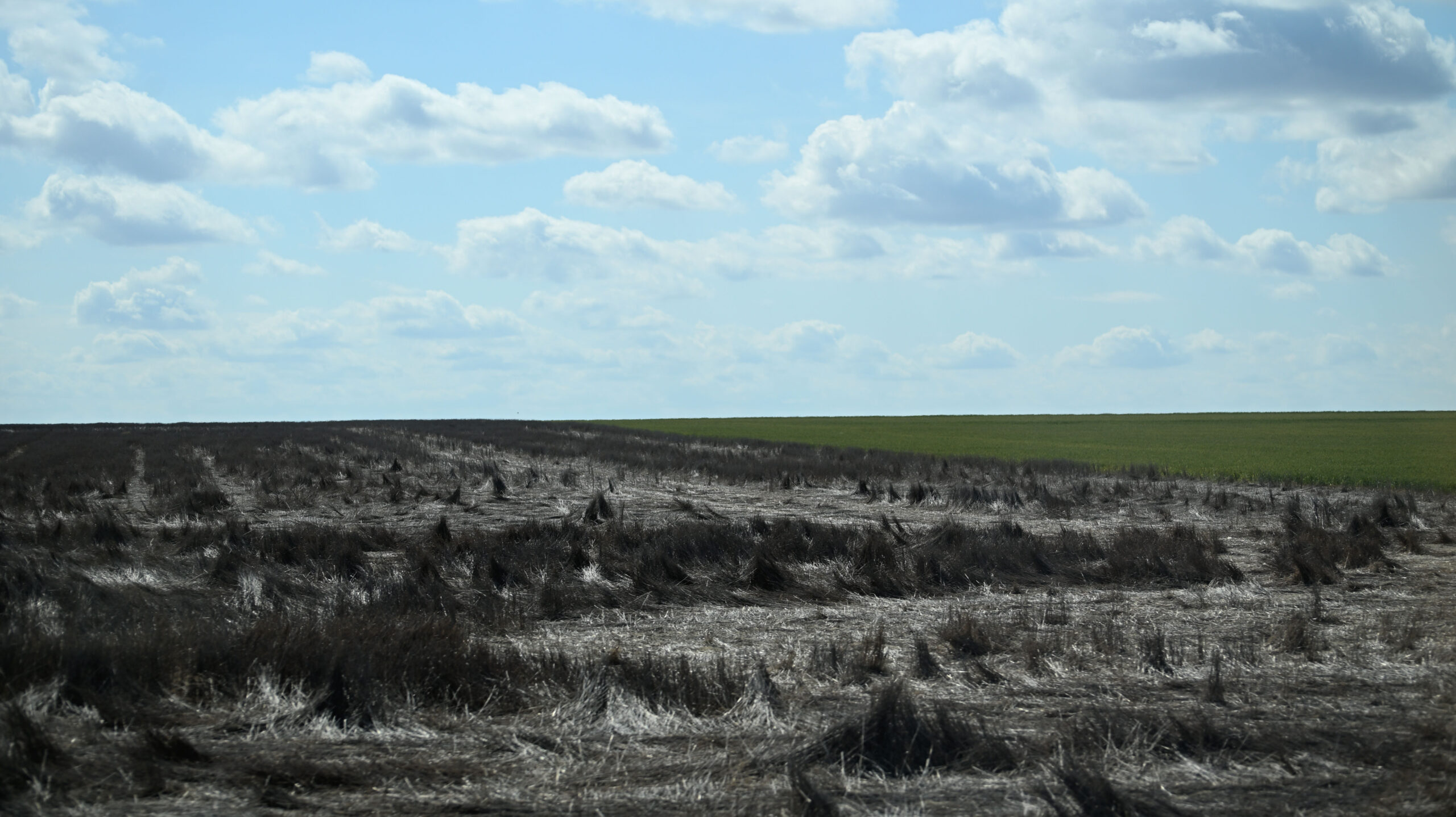 US agriculture industry at risk as drought conditions worsen
