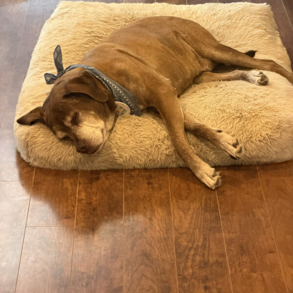 Murphy’s Relaxation Technique – AFTER THE SHOW 6/9