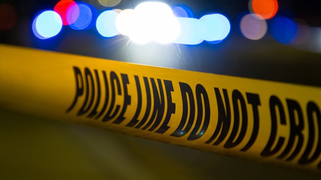 5 relatives killed, 2 hurt in ‘evil’ targeted shootings in Illinois; teens in custody