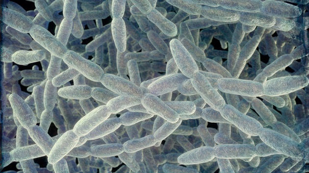 4th person dies from Legionnaires’ disease in New York City: Health officials