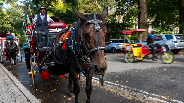 New York City to ban horse-drawn carriages in 2028